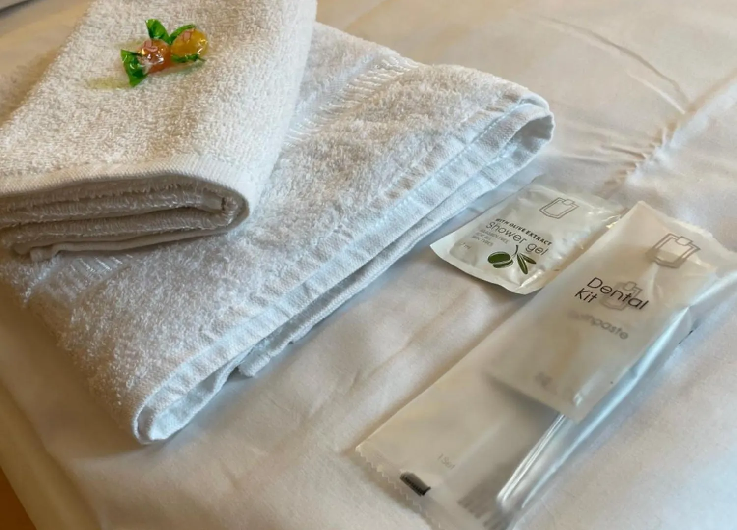 Hotel Starlight Φραγκφούρτη Γερμανία